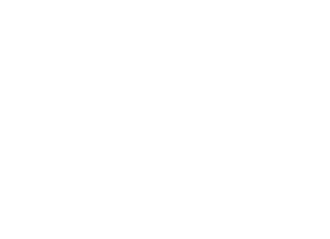 shake 